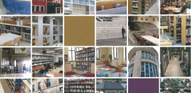 Las bibliotecas públicas asturianas en 2013