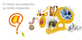 Pregunte: las bibliotecas responden. Chat on-line.