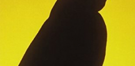 Un pingüino en Gulpiyuri