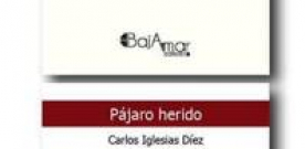 Presentación de ‘Pájaro herido’ de Carlos Iglesias y ‘Años otoñales’ de Vicente García