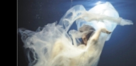 Laura Restrepo presenta ‘Los divinos’ en Gijón