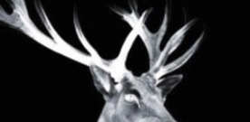 Presentación de ‘Los Caín’ de Enrique Llamas