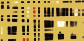 La Tertulia Malory escueye ‘El llibru póstumu de Sherezade’ de Raquel F. Menéndez, como meyor llibru n’asturianu del añu 2017