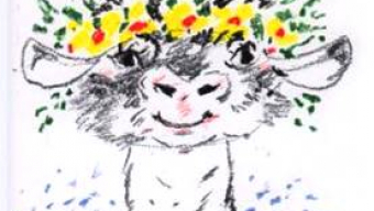 Ferdinando el toro