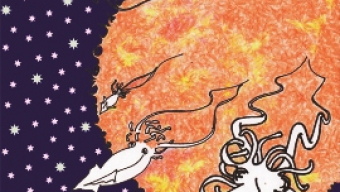 Los cosechadores de estrellas