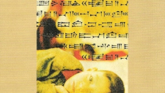 El reflejo de las palabras