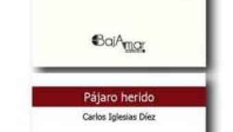 Presentación de ‘Pájaro herido’ de Carlos Iglesias y ‘Años otoñales’ de Vicente García