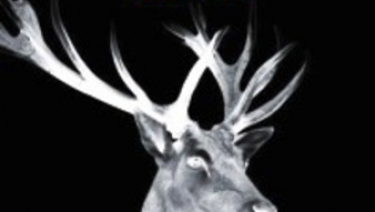 Presentación de ‘Los Caín’ de Enrique Llamas