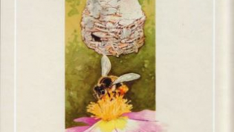 Presentación de ‘El país del abeyeiro’ de Alberto Uría y Fernando Fueyo