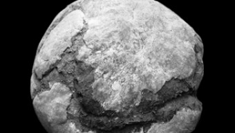 Noche Blanca de Oviedo 2019