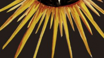 Sam, el libro de los milagros