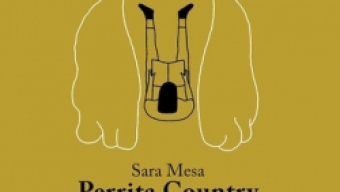 Presentación de ‘Perrita Country’ (Sara Mesa / Pablo Amargo) en la Biblioteca de Asturias